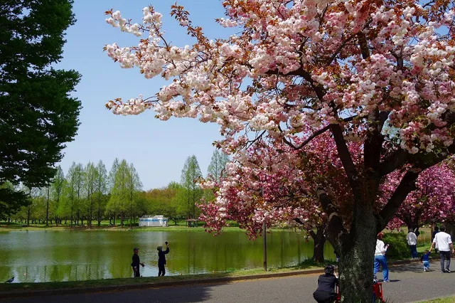 Kawagoe Park