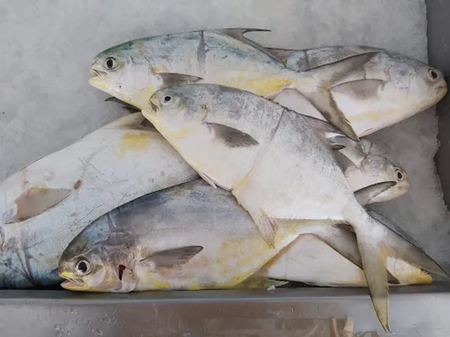 Pescadería El Siervo