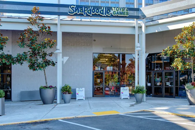Snapdoodle Toys & Games Bellevue