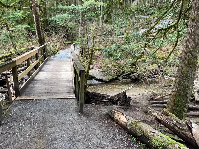 Maple Ridge Trail