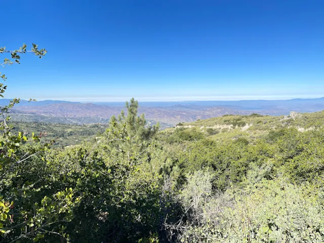 Webster Trail Head 2E16