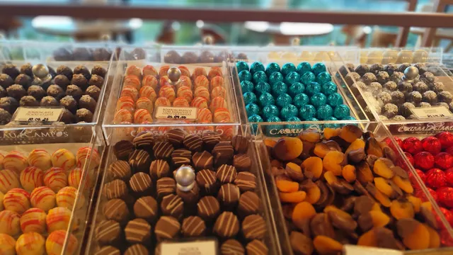 Cacau de Campos Mirante (Morro do Elefante)