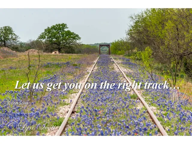 Texas Tax Chicks PLLC