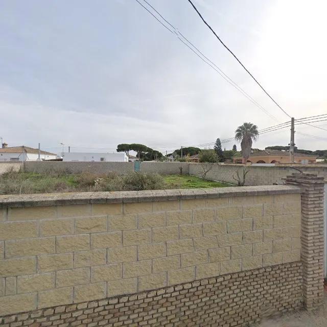 Parisito Sancti Petri