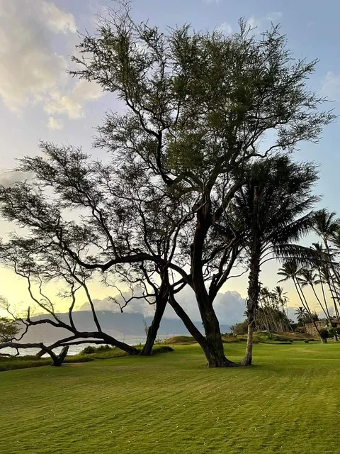Kihei Community Center