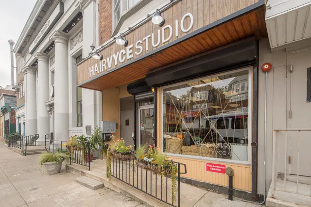 Hair Vyce Studio ( West )