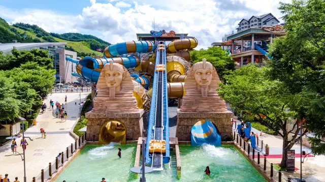 소노펫클럽&리조트 비발디파크