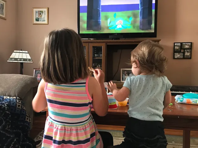 The Country Craftsmen