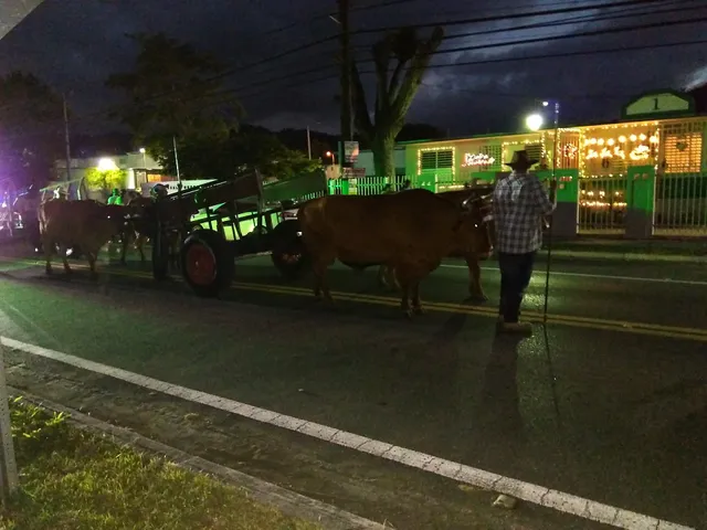 Centro Comercial Antongiorgi de San Germán