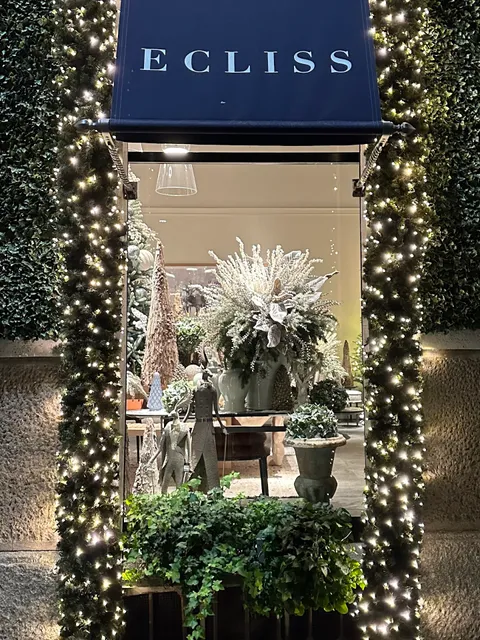 Ecliss