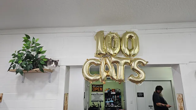 DeLand Cat Cafe