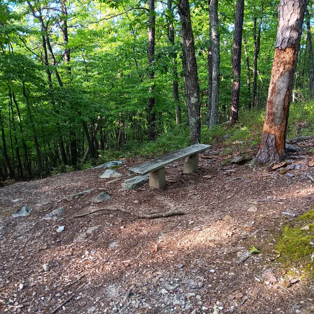 Buck Mountain Overlook Trailhead