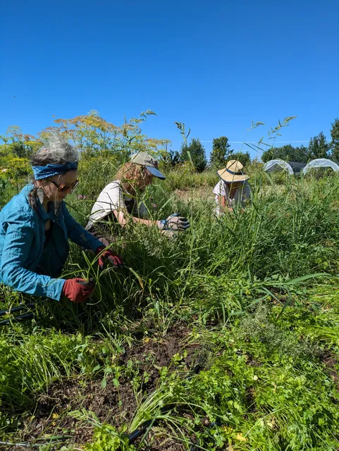 Reunity Resources (Soil Yard Hours Below)