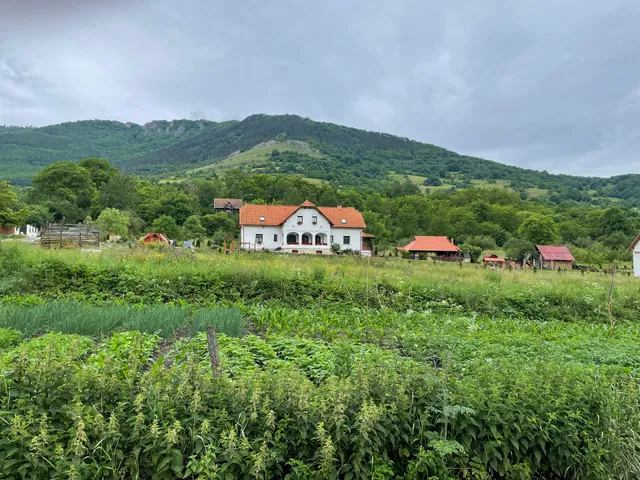 Pensiunea Hámor Panzió