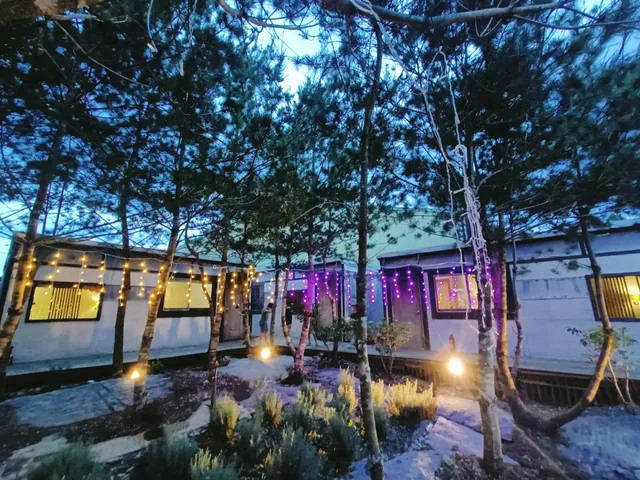 Fun星空謐境南投埔里包棟16~44人民宿