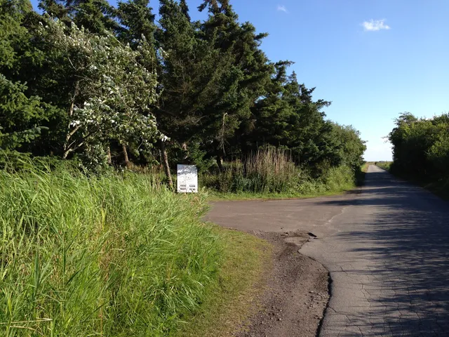 Fehmarn-Urlaub - Ferienhof - Ferien-Haus - Ferien-Wohnung - Ostsee und Natur in Wallnau