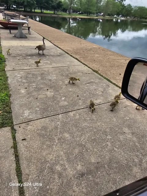 O'Fallon Park Boathouse