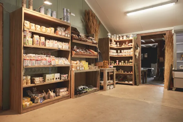 water buffalo farm Oldemarkt