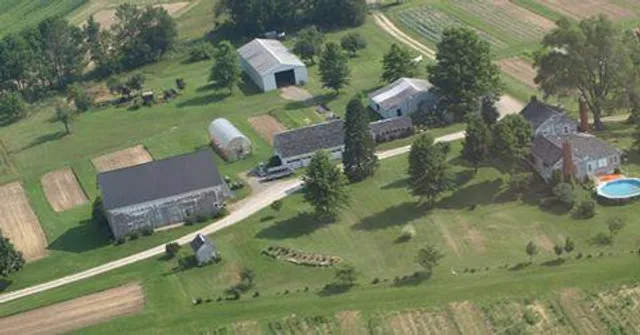 Miller's Pickin' Patch