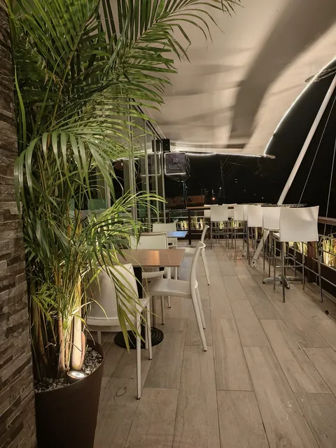 Bluefin Japanese Cuisine