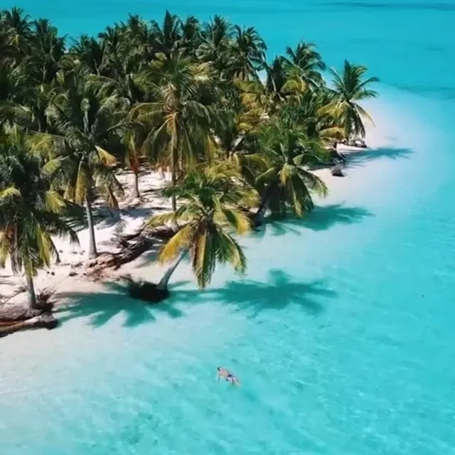 DELICIAS DEL RINCÓN