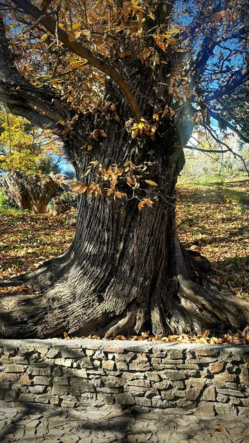 Mevak Home Alpujarra