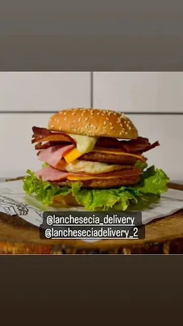 LANCHES E CIA DELIVERY DE HAMBURGUERIA E PIZZARIA