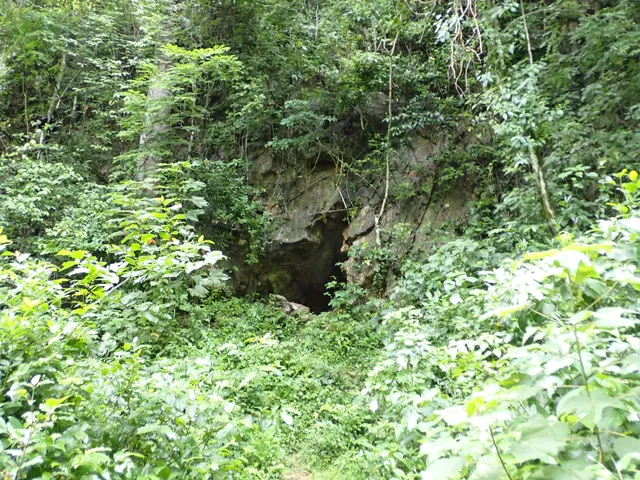 Martin Gomez Cave Lopinot