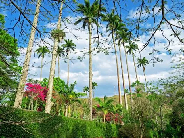 Museum House of Hera