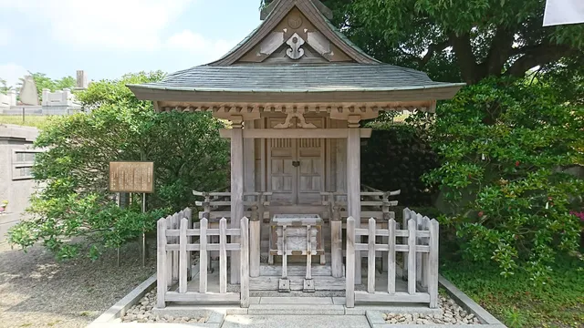 photo-2