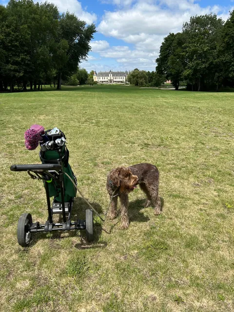 Golf du château d'Augerville