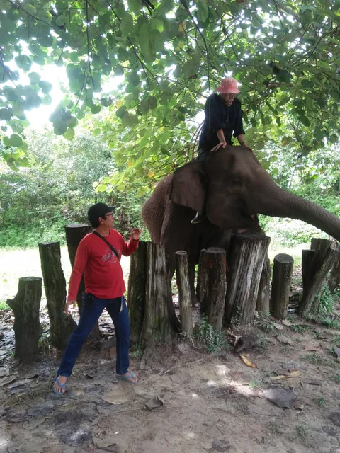 Flying Squad TN. Tesso Nilo