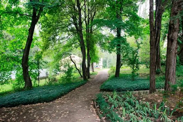 Stepanavan Dendropark