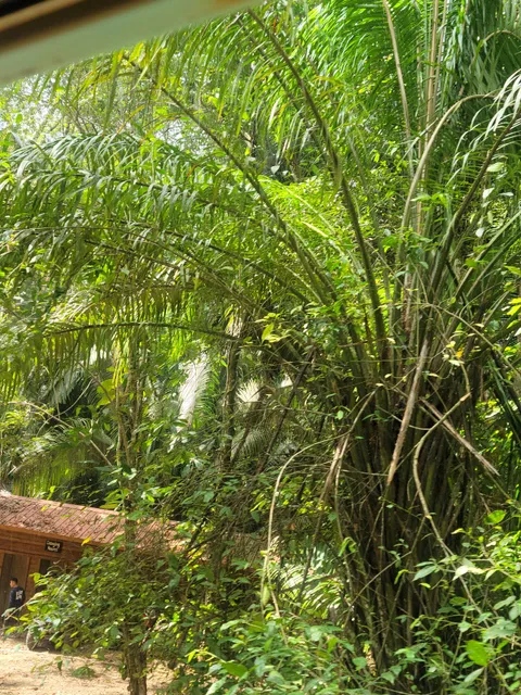 CHUKKA Eco-Adventure Outpost at Jaguar Paw