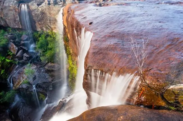 Dharawal National Park