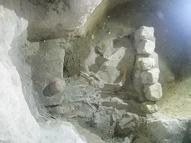 photo-2