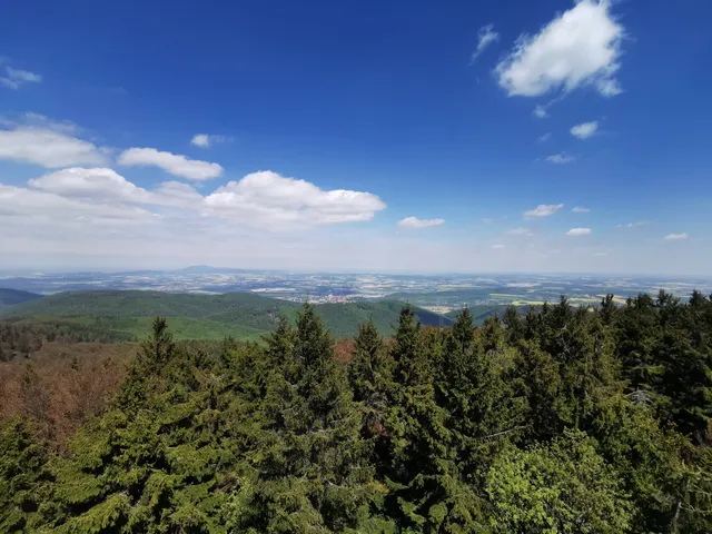 Rezerwat przyrody Bukowa Kalenica