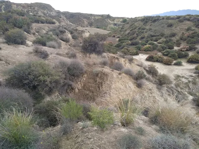 El Argar y La Gerundia