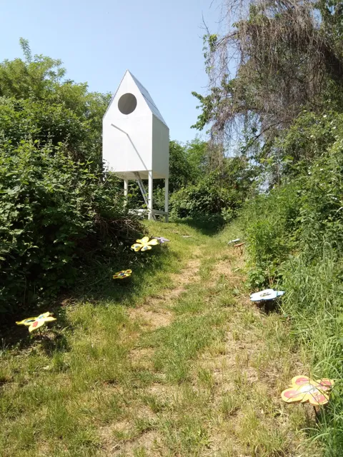 International Forest Art Center