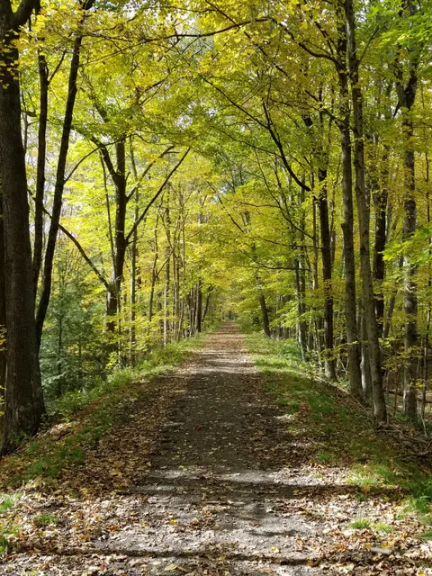 Larkin State Bridle Trail