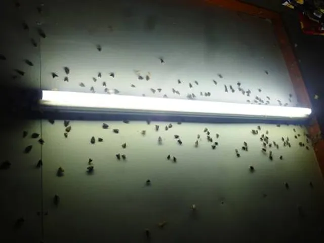 Regional Museum of Natural History Mysore