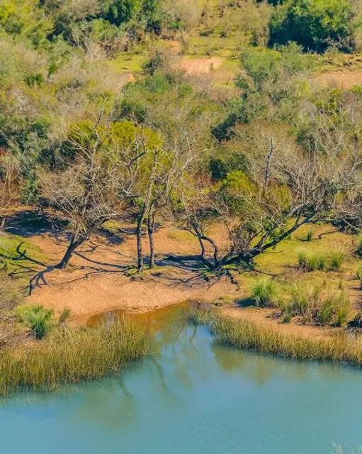 Windy Brow Game Reserve
