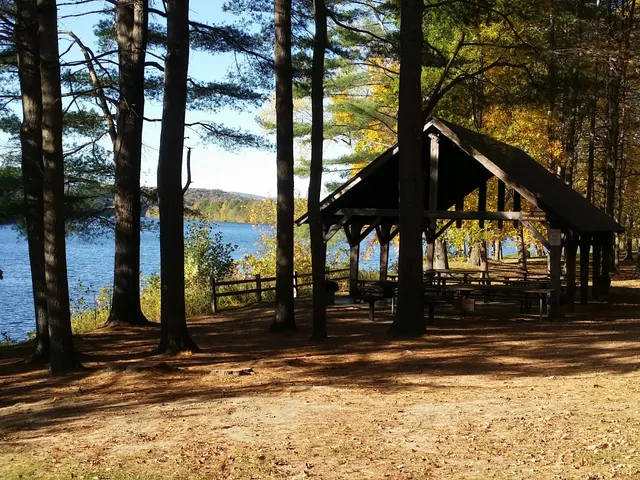 photo-1