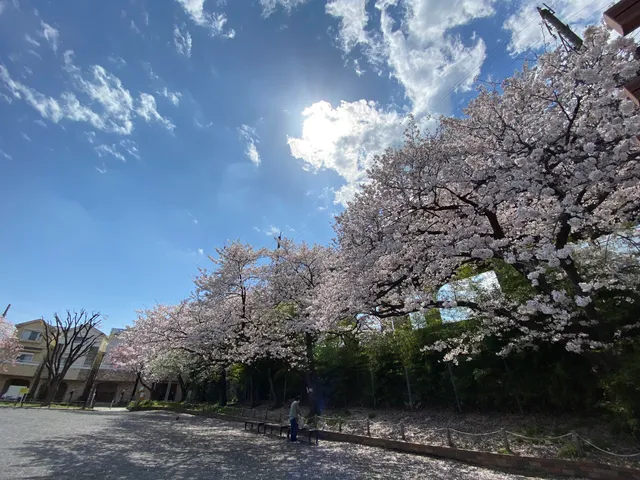 Motomiya 2-chome Park