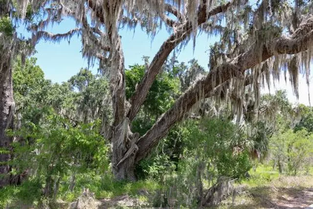 Polk's Nature Discovery Center