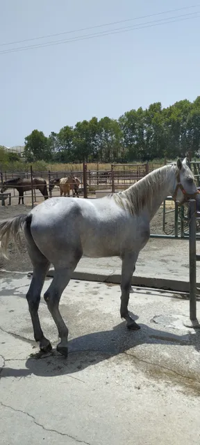 Parque Tecnoalimentario