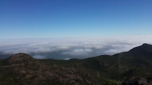 photo-3
