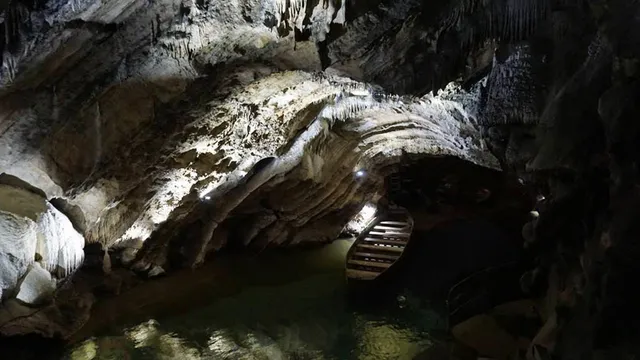 photo-3