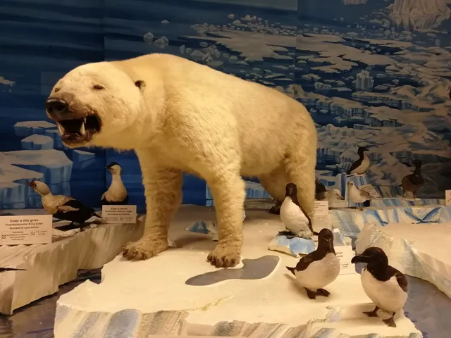 Strasbourg Zoological Museum