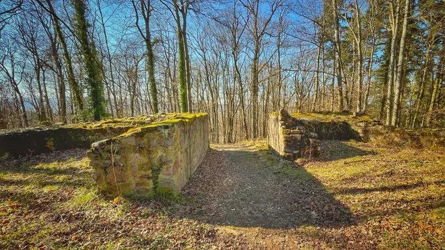 Burgruine Schnellerts